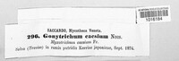 Chloridium caesium image